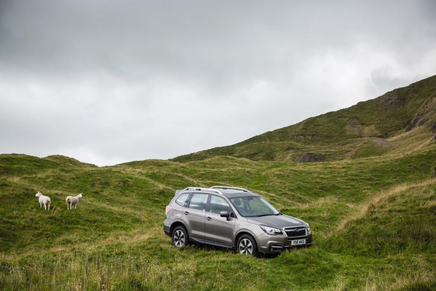  Subaru Forester 2.0D XC 2016 года  (UK) (фото 22 из 26)